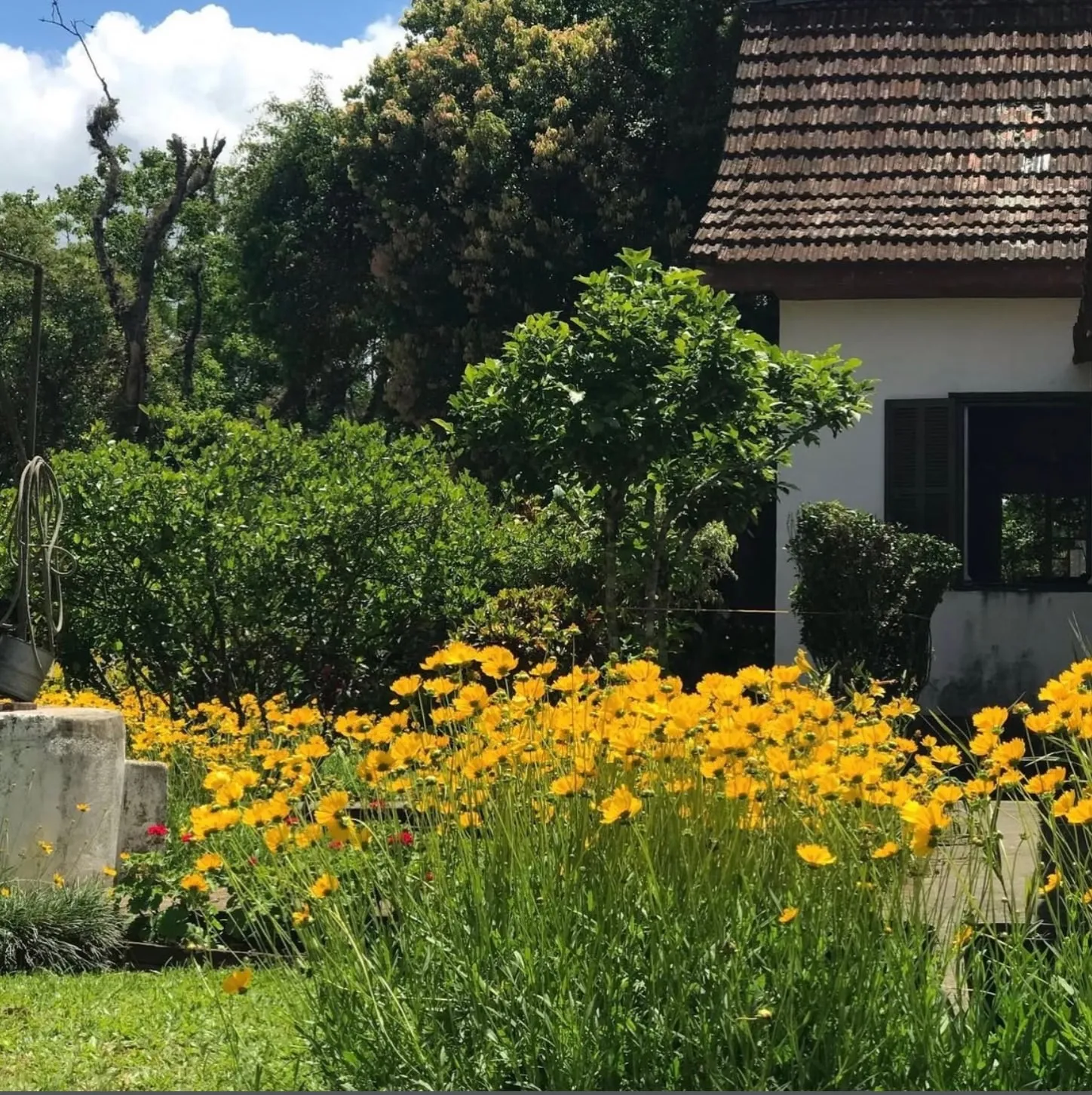Jardins floridos